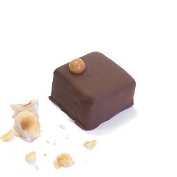 Malted Milk Hazelnut